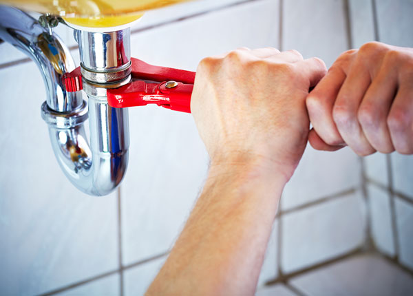 About Thonotosassa Plumbers
